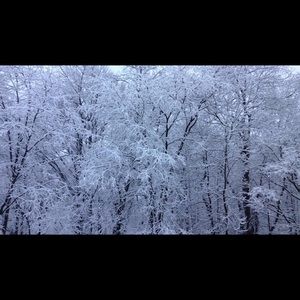 Meet your Posher, Cyp